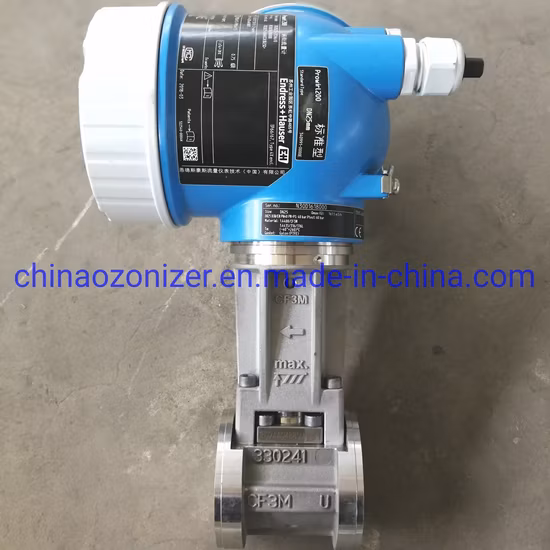 Generador de ozono medio 500-800g para la industria alimentaria, agricultura, acuicultura