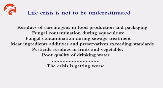 Generador de ozono de serie de desinfección de tuberías/tratamiento de agua Dyh industrial comercial de alta calidad