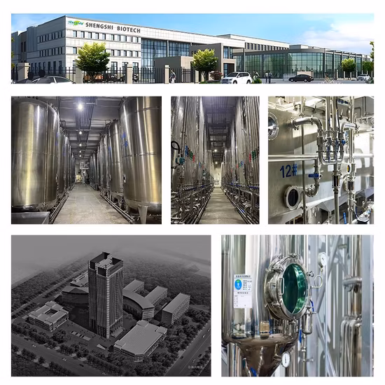 Suministro de fábrica de alta calidad 98,5% monohidrato de ácido glioxílico CAS 563-96-2