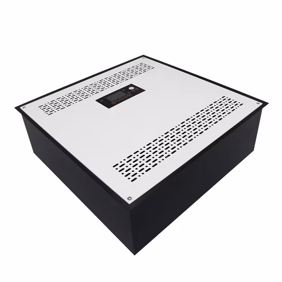 Desinfectante de aire con generador de ozono montado en el techo Industrial Flygoo de 50 g/h